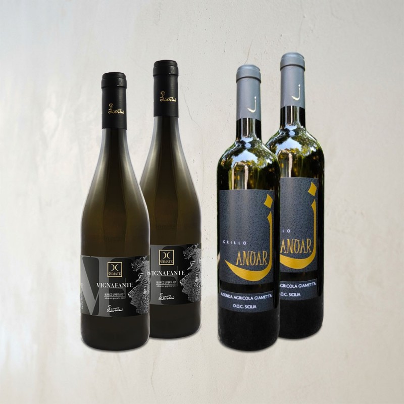 Grillo AOP - ITINERARI Strasbourg