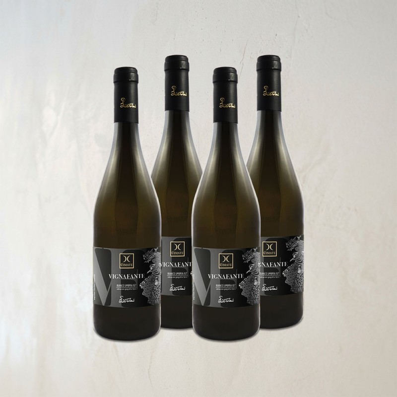 Vignafante blanc IGT - ITINERARI Strasbourg