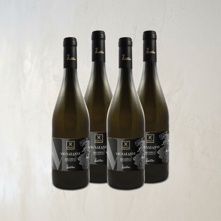 Vignafante blanc IGT - ITINERARI Strasbourg