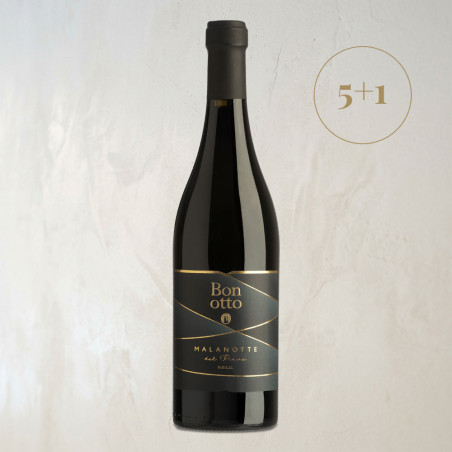 Malanotte del Piave DOCG - Bonotto | Vin Rouge Iconique de Vénétie