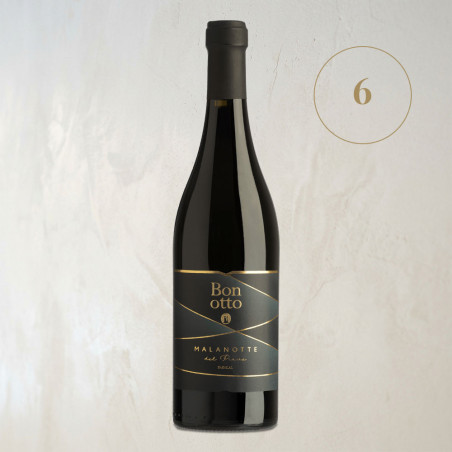 Malanotte del Piave DOCG - Bonotto | Vin Rouge Iconique de Vénétie